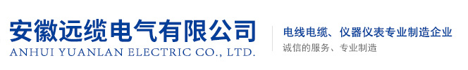 安徽遠(yuǎn)纜電氣有限公司